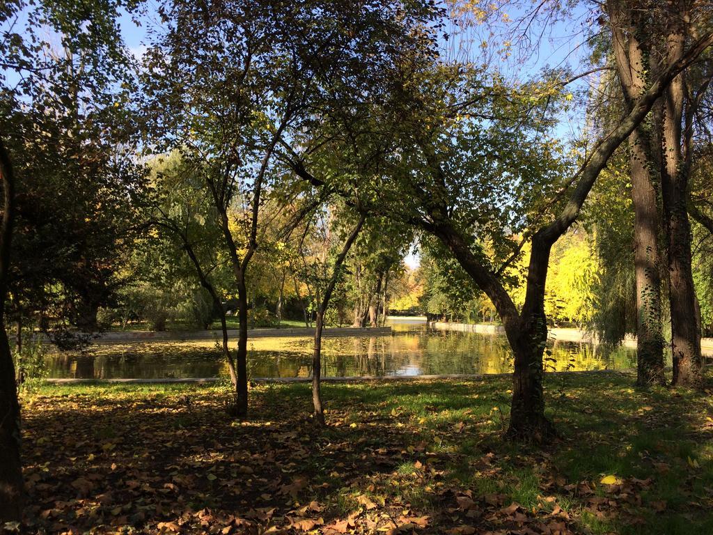 דירות בוקרשט Cismigiu Garden Studio מראה חיצוני תמונה